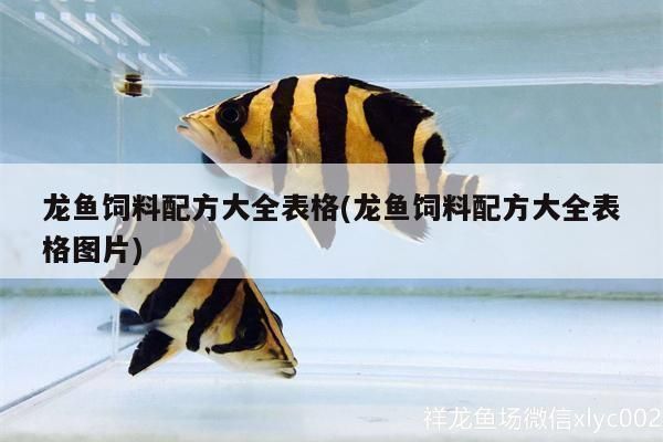 龍魚飼料配方比例vs祥龍魚場：如何選擇龍魚飼料配方 vs祥龍魚場 第4張