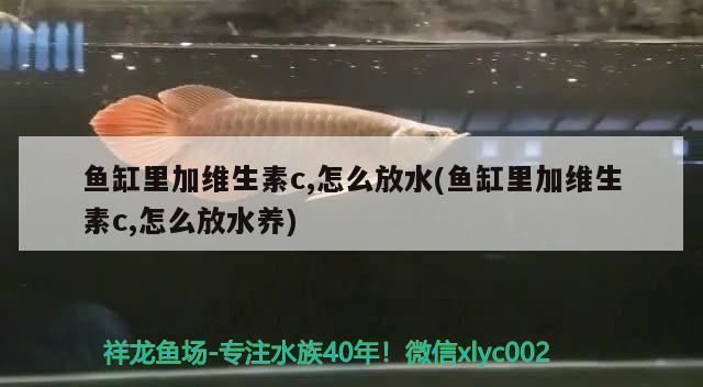 龍魚維生素放水里還是直接喂vs祥龍魚場(chǎng)：如何判斷龍魚缺乏維生素 vs祥龍魚場(chǎng) 第2張