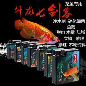 龍魚蒙眼爛尾：龍魚蒙眼爛尾的原因及其治療方法 龍魚百科 第4張