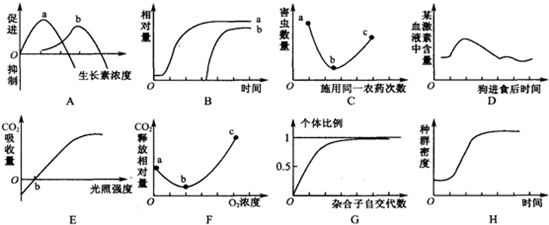 龍魚燈擺放位置：龍魚燈擺放在什么位置最合適？ 水族問答 第2張