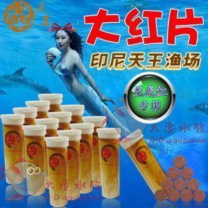 龍魚眼上長白膜用什么藥：龍魚眼上長白膜怎么辦 龍魚百科 第5張