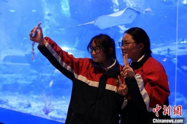 果洛藏族自治州龍魚vs果洛藏族自治州水族批發(fā)市場vs果洛藏族自治州水族館vs果洛藏族自治州魚缸批發(fā)市場vs祥龍魚場：果洛藏族自治州水族館vs果洛藏族自治州水族批發(fā)市場vs祥龍魚場 祥龍魚場各市分站 第3張