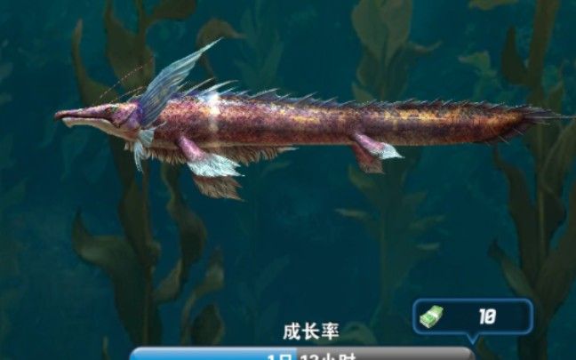 龍魚釣魚點原神：《龍魚釣魚點：原神》釣魚技巧 龍魚百科 第4張