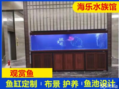 東莞龍魚vs東莞水族批發(fā)市場vs東莞水族館vs東莞魚缸批發(fā)市場vs祥龍魚場：東莞水族批發(fā)市場 祥龍魚場各市分站 第5張