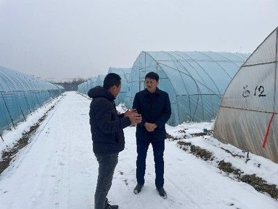 龍魚低溫過冬怎么辦：如何確保龍魚在冬季低溫下的安全過冬 水族問答 第2張