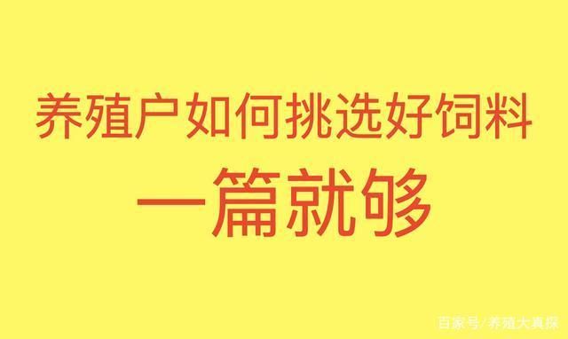 如何選擇合適的增色飼料：觀賞魚增色飼料品牌推薦,自制增色飼料的配方比例 龍魚百科 第2張