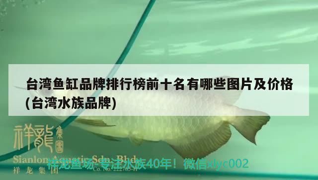 臺(tái)灣龍魚vs臺(tái)灣水族批發(fā)市場(chǎng)vs臺(tái)灣水族館vs臺(tái)灣魚缸批發(fā)市場(chǎng)vs祥龍魚場(chǎng)：臺(tái)灣水族批發(fā)市場(chǎng) 祥龍魚場(chǎng)各市分站 第3張