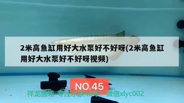 龍魚水泵流量高點好還是低點好vs祥龍魚場：祥龍魚場水泵推薦型號 vs祥龍魚場 第5張