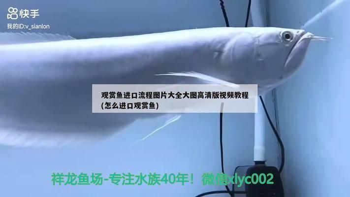 廣元龍魚vs廣元水族批發(fā)市場vs廣元水族館vs廣元魚缸批發(fā)市場vs祥龍魚場：廣元水族批發(fā)市場 祥龍魚場各市分站 第1張