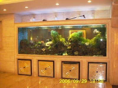 呼和浩特龍魚(yú)vs呼和浩特水族批發(fā)市場(chǎng)vs呼和浩特水族館vs呼和浩特魚(yú)缸批發(fā)市場(chǎng)vs祥龍魚(yú)場(chǎng)：呼和浩特水族批發(fā)市場(chǎng) 祥龍魚(yú)場(chǎng)各市分站 第1張