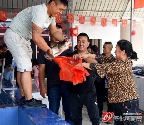 懷化龍魚vs懷化水族批發(fā)市場vs懷化水族館vs懷化魚缸批發(fā)市場vs祥龍魚場：懷化龍魚、懷化水族批發(fā)市場、懷化水族批發(fā)市場價格對比