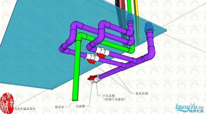 龍魚缸雙水位設(shè)計(jì)：雙水位魚缸設(shè)計(jì)的美學(xué)價(jià)值 龍魚百科 第3張