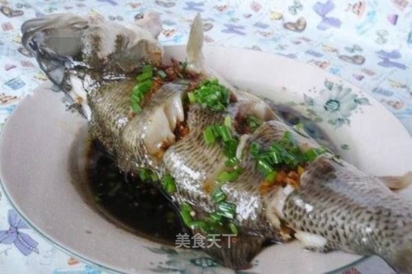 龍魚(yú)怎么清蒸：清蒸龍魚(yú)的做法 龍魚(yú)百科 第5張