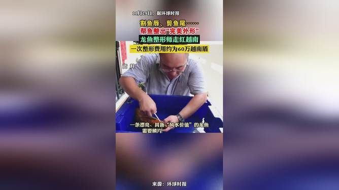 龍魚整容師哪里找：蘭州龍魚整容師 龍魚百科 第2張