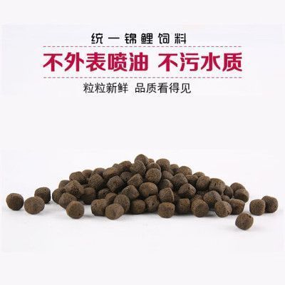 龍魚生寄生蟲 箭蟲怎么辦vs祥龍魚場(chǎng)：龍魚寄生蟲的自然治療方法 vs祥龍魚場(chǎng) 第4張