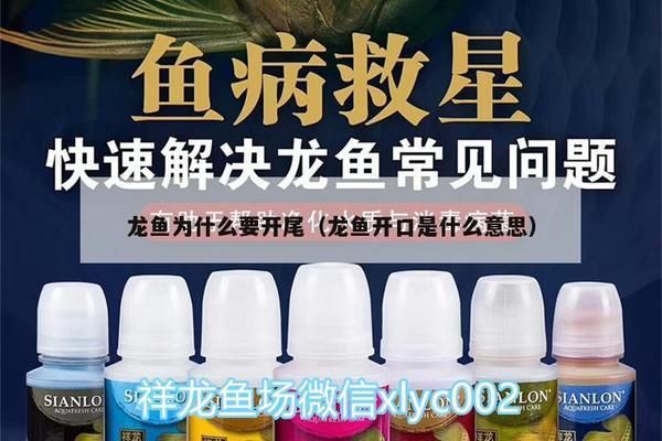 龍魚外寄用藥怎么用vs祥龍魚場：祥龍魚場評價如何 vs祥龍魚場 第5張