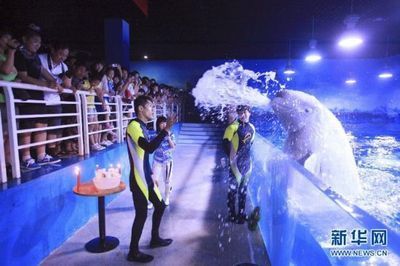 天津水族館：天津水族館是一個集娛樂、學(xué)習(xí)和環(huán)保于一體的綜合性景點 龍魚百科 第4張