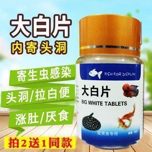 龍魚用藥期間可以喂食嗎：龍魚在用藥期間可以喂食嗎，龍魚用藥期間可以喂食嗎 龍魚百科 第4張