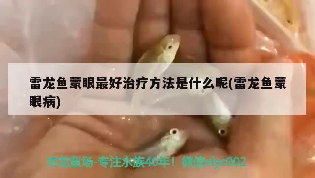 龍魚蒙眼土霉素用量vs祥龍魚場(chǎng)：土霉素對(duì)龍魚蒙眼病的副作用 vs祥龍魚場(chǎng) 第4張