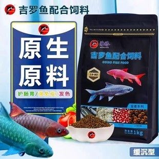 正宗圓頭T吉羅魚：吉羅魚繁殖方法介紹 吉羅魚批發(fā) 第2張