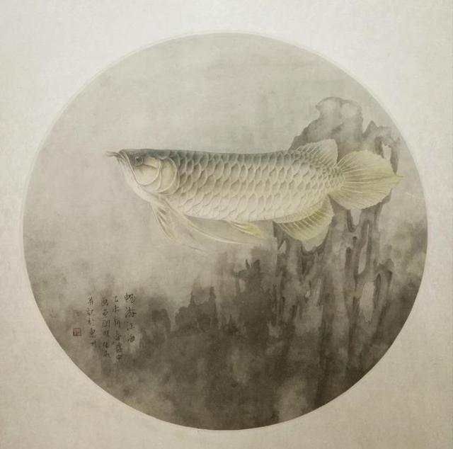 龍魚畫像白描：龍魚畫像白描技巧，龍魚白描上色指南，傳統(tǒng)白描上色指南 龍魚百科 第4張