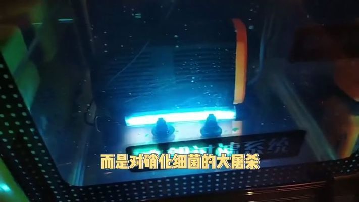 龍魚缸殺菌：幾種有效的龍魚缸殺菌方法和技巧 龍魚百科 第4張