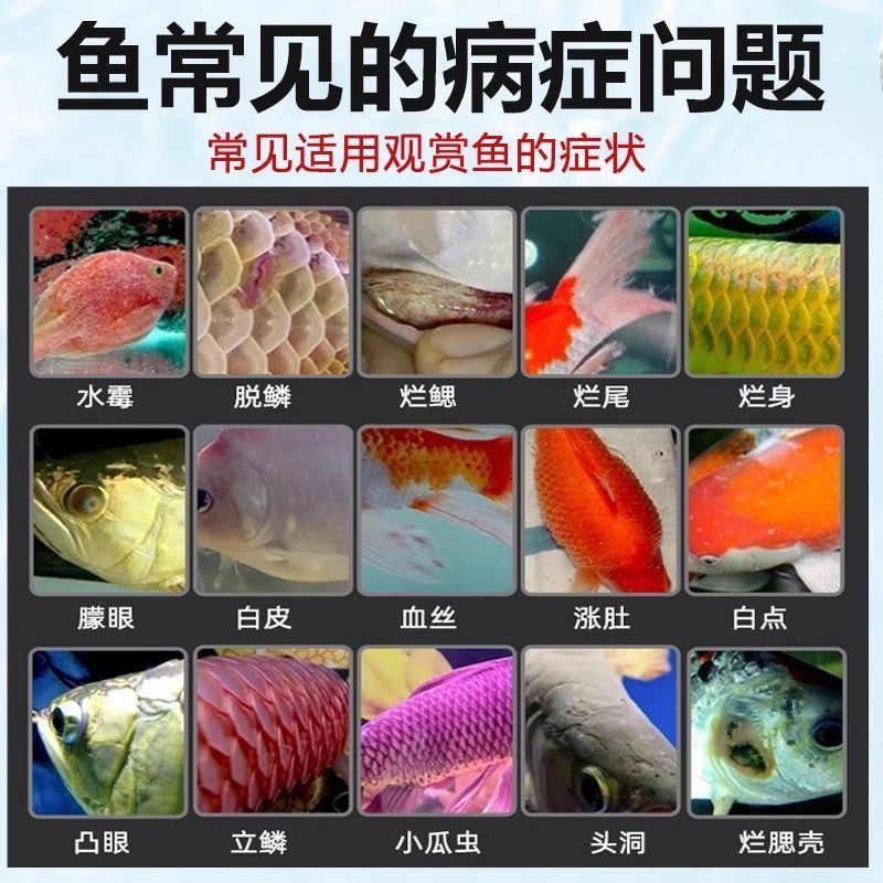 龍魚防掉眼燈光設置：如何調整龍魚防掉眼燈光的設置 水族問答 第2張