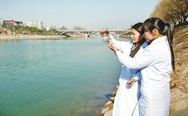 龍魚風水數(shù)量多少最好：龍魚風水中，龍的數(shù)量多少并沒有一個固定的標準,主要取決于個人喜好和審美觀 水族問答 第1張