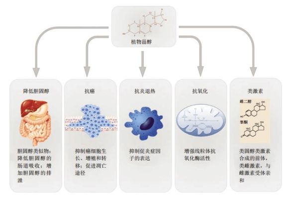 金龍魚價(jià)格表2023最新版：10公分金龍魚價(jià)格表 龍魚百科 第3張