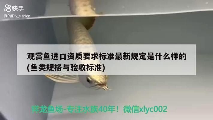 龍魚檢疫需要多長時間完成呢vs祥龍魚場：龍魚檢疫需要多長時間完成vs祥龍魚場的直接答案 vs祥龍魚場 第4張