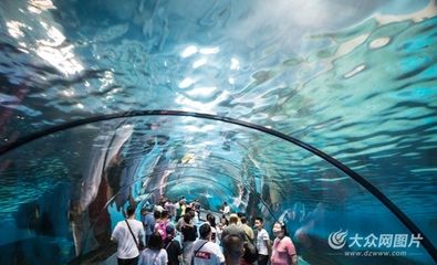 濟(jì)南水族館：山東濟(jì)南水族館門票價格開放時間開放時間開放時間 龍魚百科 第1張