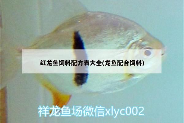 龍魚飼料配方表vs祥龍魚場(chǎng)：祥龍魚場(chǎng)龍魚飼料配方表 vs祥龍魚場(chǎng) 第1張