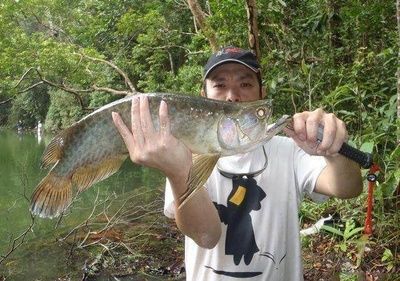 龍魚用什么釣最好：釣龍魚時(shí)，選擇合適的魚餌至關(guān)重要，龍魚釣魚地點(diǎn)推薦 龍魚百科 第3張