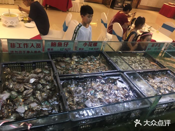 成都金龍魚港雙南店電話號(hào)碼：成都金龍魚港雙南店 龍魚百科 第4張