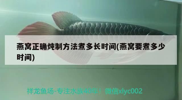 龍魚油漆價(jià)格表：龍魚油漆多少錢一條 龍魚百科 第2張