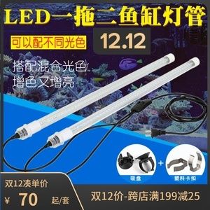 龍魚用什么燈管好一點：led燈與金屬鹵素?zé)暨x哪個好 龍魚百科 第2張