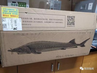 龍魚寄快遞怎么包裝？：如何快速檢測運(yùn)輸水質(zhì) 龍魚百科 第3張