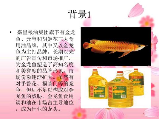 金龍魚的贊美詞：東方文化中的瑰寶——金龍魚 龍魚百科 第3張