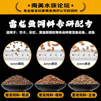 雷龍魚專用飼料哪個牌子的好用又實惠：雷龍魚專用飼料哪個牌子好德彩慈鯛上浮料評測 龍魚百科 第2張