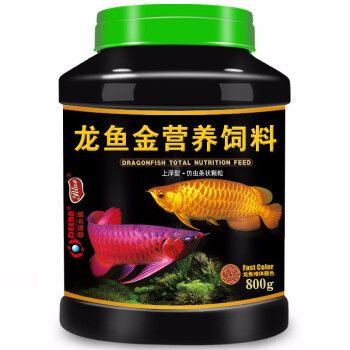 紅龍專用魚糧飼料：紅龍專用魚糧飼料對(duì)于健康成長和美麗外觀至關(guān)重要 龍魚百科 第5張