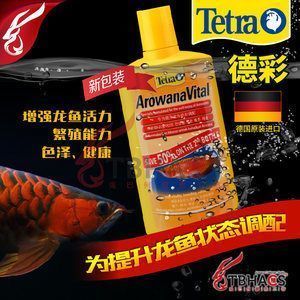 喜瑞飼料適用魚類種類：喜瑞飼料適用于多種觀賞魚 龍魚百科 第2張