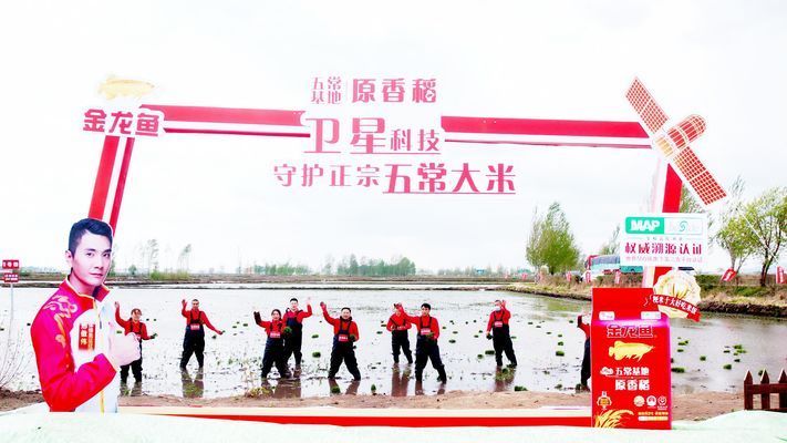 金龍魚原材料基地：金龍魚原材料基地是中國知名的糧油品牌金龍魚原材料供應(yīng)地