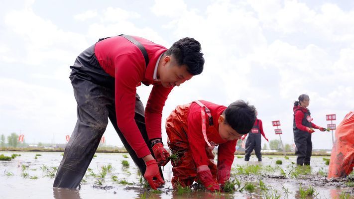 金龍魚原材料基地：金龍魚原材料基地是中國(guó)知名的糧油品牌金龍魚原材料供應(yīng)地 龍魚百科 第5張