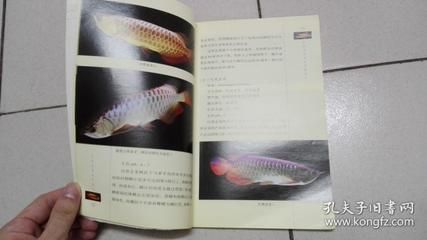 龍魚飼養(yǎng)手冊電子書免費下載：龍魚飼養(yǎng)手冊電子書免費下載， 龍魚百科 第2張