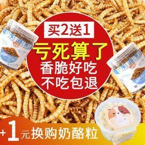 龍魚下黃粉可以喂食嗎vs祥龍魚場：祥龍魚場的評價(jià)如何