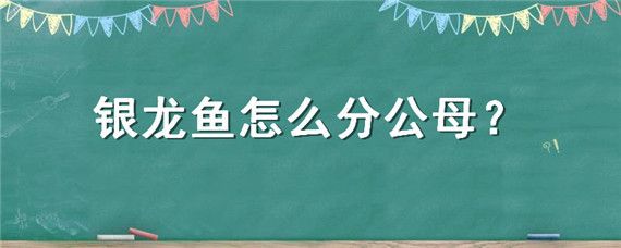 銀龍魚性別特征辨別技巧：如何挑選健康銀龍魚,銀龍魚基因檢測操作流程 龍魚百科 第6張