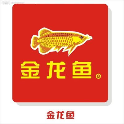 金龍魚(yú)稀有嗎值得養(yǎng)嗎知乎：金龍魚(yú)市場(chǎng)價(jià)格趨勢(shì),金龍魚(yú)品種鑒別技巧,金龍魚(yú)風(fēng)水作用解析 龍魚(yú)百科 第4張