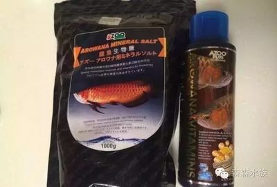 龍魚喂21金維他行不行：龍魚專用維生素品牌推薦 龍魚百科 第1張