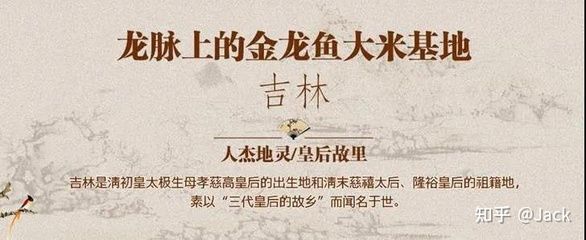 分析金龍魚品牌的內(nèi)涵：金龍魚品牌以其深厚的歷史底蘊和獨特的文化內(nèi)涵和文化內(nèi)涵 龍魚百科 第4張