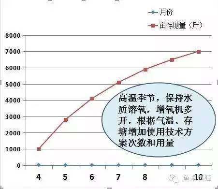 龍魚換新缸多久喂食一次好：如果龍魚在新缸中不吃不喝，我該怎么辦？ 水族問答 第2張